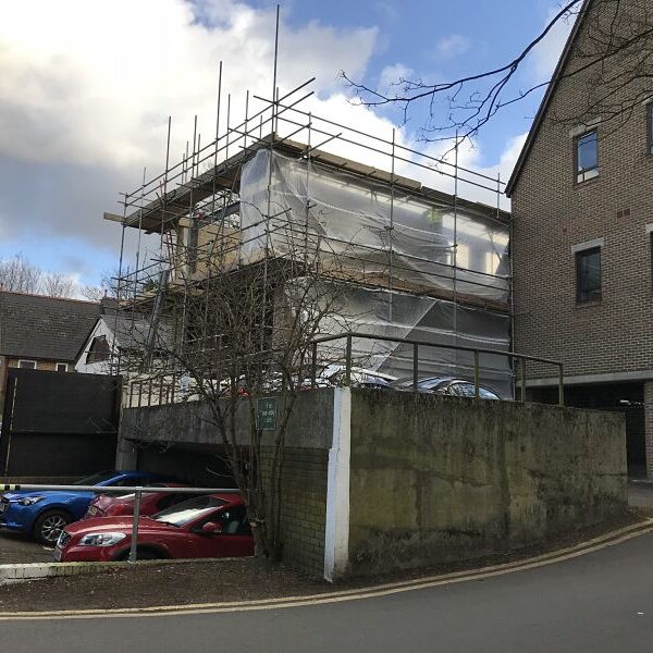 Wolsey Mews
